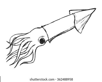 squid, illustration of wildlife, zoo, wildlife, animal of sea