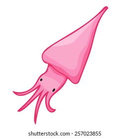squid isolated illustration on white background 