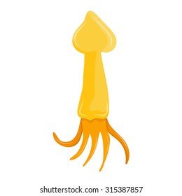 squid isolated illustration on white background