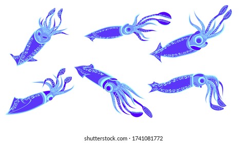 Squid isolated on white background set,vector illustration