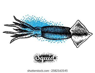 Squid isolated on white background for menu design.  Vintage engraved sketch. Seafood dot drawing collection