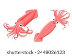squid isolated on white background.Vector eps 10.perfect for wallpaper or design elements	