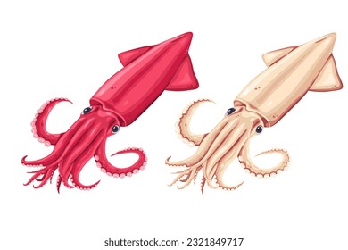 squid isolated on white background.Vector eps 10.perfect for wallpaper or design elements