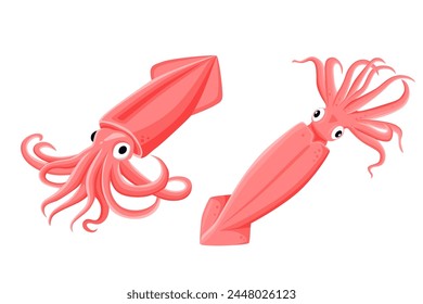 squid isolated on white background.Vector eps 10.perfect for wallpaper or design elements	