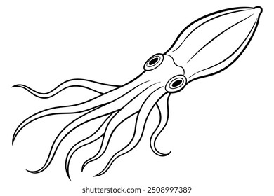 a squid linar vector lllustration 