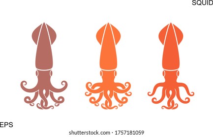 Squid logo. Isolated squid on white background