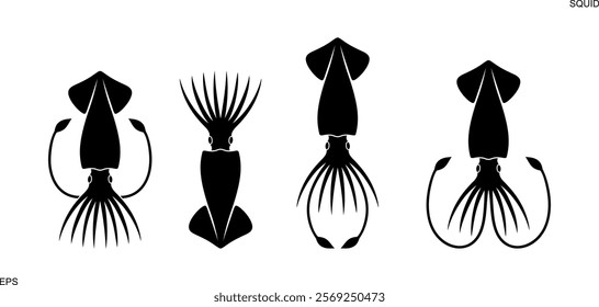 Squid logo. Isolated squid on white background