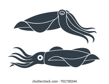 Squid logo. Isolated squid on white background. EPS 10. Vector illustration