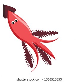 Squid a marine animal vector or color illustration