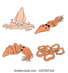 Squid meals set, squid fried