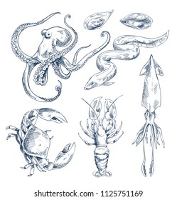 Squid and octopus, crustaceans crab and river crayfish, and edible mussel clam. Monochrome animal as seafood depiction. Sketch style illustration.