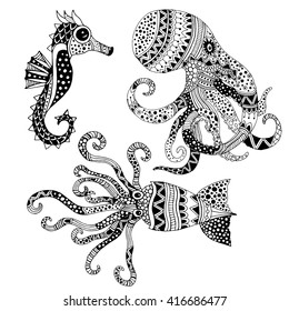 Squid, octopus and sea horse illustration