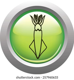 squid on a green background knopki.  vektor.