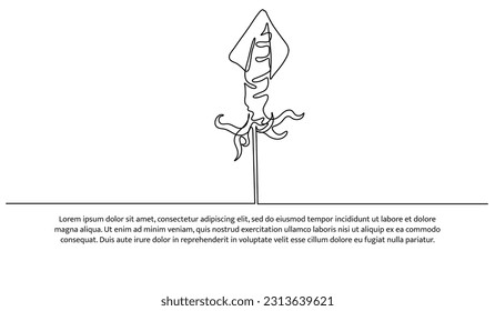 Squid one continuous line design. Restaurant food menu design concept. Decorative elements drawn on a white background.