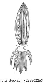 Squid outline illustration vector image. Hand drawn squid sketch image artwork. Simple original logo icon from pen drawing sketch.