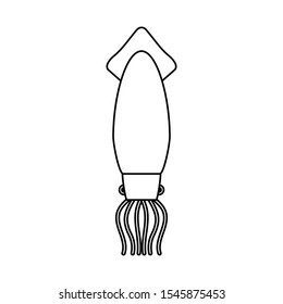 Squid outline logo icon isolated on background. Vector illustration.