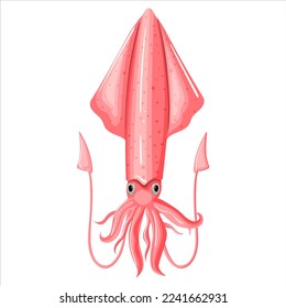 Squid of pink color design flat. Seafood squid with tentacles isolated on white background. Delicacy for gourmet. Wildlife underwater world. Ocean creature sea food image for menu. Vector illustration