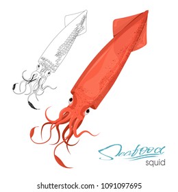 Squid of red color design flat. Red squid with tentacles isolated on white background. Creature floating in water. Inhabitant wildlife of underwater world. Edible sea food. Vector illustration