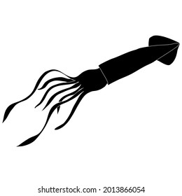 Squid sea animal black silhouette outline vector illustration. A part of ocean wildlife.