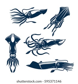 Squid sea animal isolated icon set. European squid blue silhouettes for seafood menu, sea fishing symbol or fish market sign design