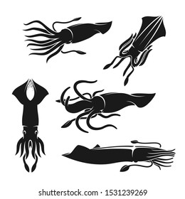 Squid sea animal or mollusk black silhouettes of seafood vector design. Ocean shellfish with waving tentacles, sea food and fish market, marine wildlife and aquarium themes