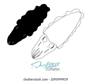 Squid seafood isolated sketch. Sea animal, european squid with pink tentacles and mantle. Seafood, fish market label, food packaging or underwater sea animal themes design. Linear silhouette sea fish.