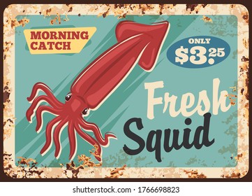 Squid seafood metal rusty plate, vector. Sea squid meat and fillet, calamari meals menu retro design. Seafood cuisine restaurant or cafe, shop vintage poster with metal texture and price sign