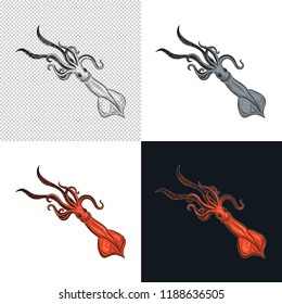 Squid. Seafood. Vector illustration. Isolated image on white background. Vintage style.