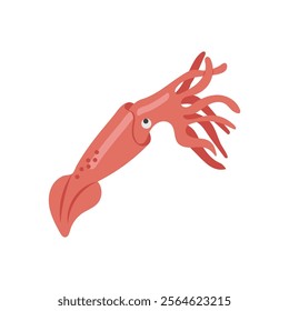 Squid Seafood Vector Illustration, Isolated