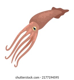 squid sealife animal fauna character