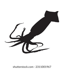 Squid silhouette. Isolated squid on white background