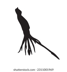Squid silhouette. Isolated squid on white background