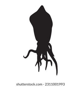 Squid silhouette. Isolated squid on white background