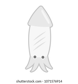 squid or spendid squid cartoon object on white background, vector illustration