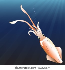 A squid swimming underwater with rays of sunlight. EPS10 vector illustration.