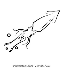 Squid with tentacles. Squid, Fish collection. Healthy lifestyle, delicious food. Hand-drawn images, black and white graphics.  Vector illustration in doodle style