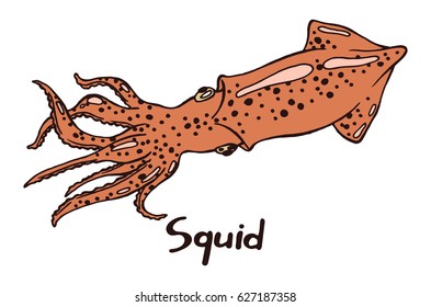 Squid with tentacles. Hand drawn isolated illustration with the inscription on a white background