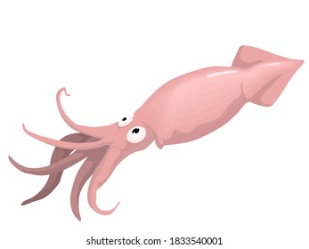 
Squid vector cute cartoon character isolated white background black background