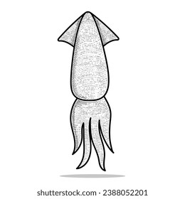 squid vector engraving style hand drawn black and white