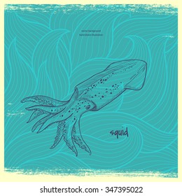 squid. vector hand drawn illustration