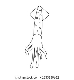 Squid vector icon.Outline,line vector icon isolated on white background squid .