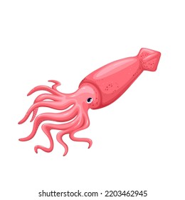 Squid vector illustration. Cartoon isolated swimming cuttlefish or octopus, sea or ocean animal and marine monster with tentacles, underwater creature and raw squid product for food market menu