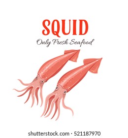 Squid vector illustration in cartoon style. Seafood product design.