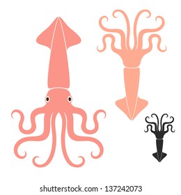 Squid. Vector illustration EPS 10