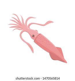 Squid vector illustration in flat design isolated on white background.