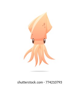 Squid vector isolated illustration