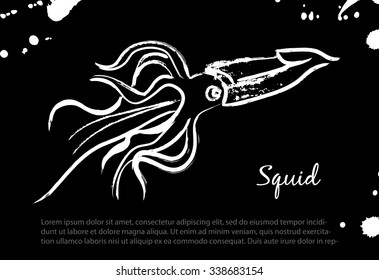 Squid. Vector isolated illustration. Ink. Hand drawn