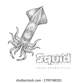 squid vector in vintage style. hand drawn animal illustration