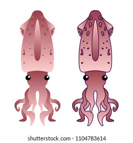 Squidisoleted on white. Flat Gradient Sea Food Concept.