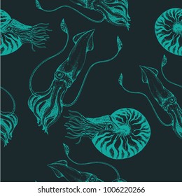 Squids and Nautilus ppaattern